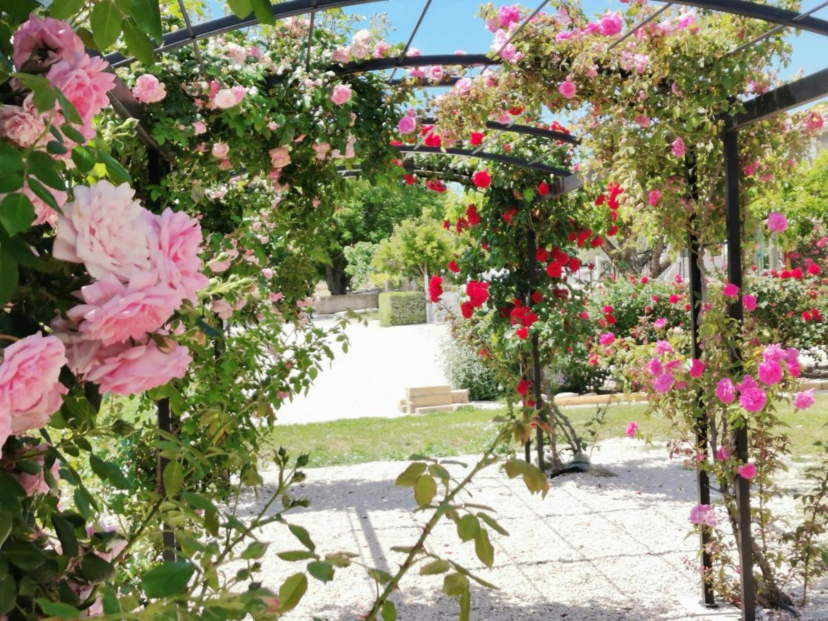 Gite En Provence "Rose" Modene Exteriér fotografie