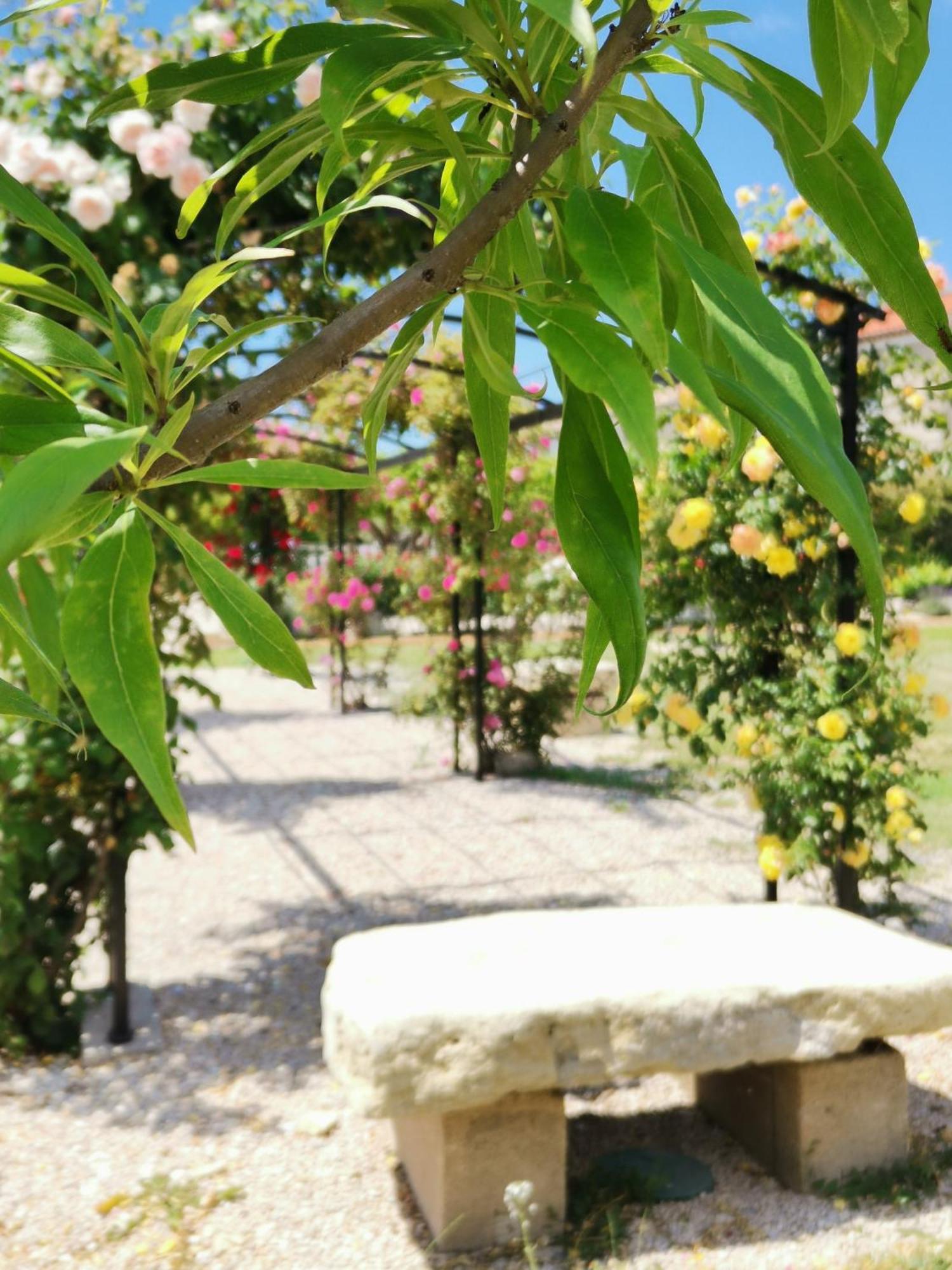 Gite En Provence "Rose" Modene Exteriér fotografie